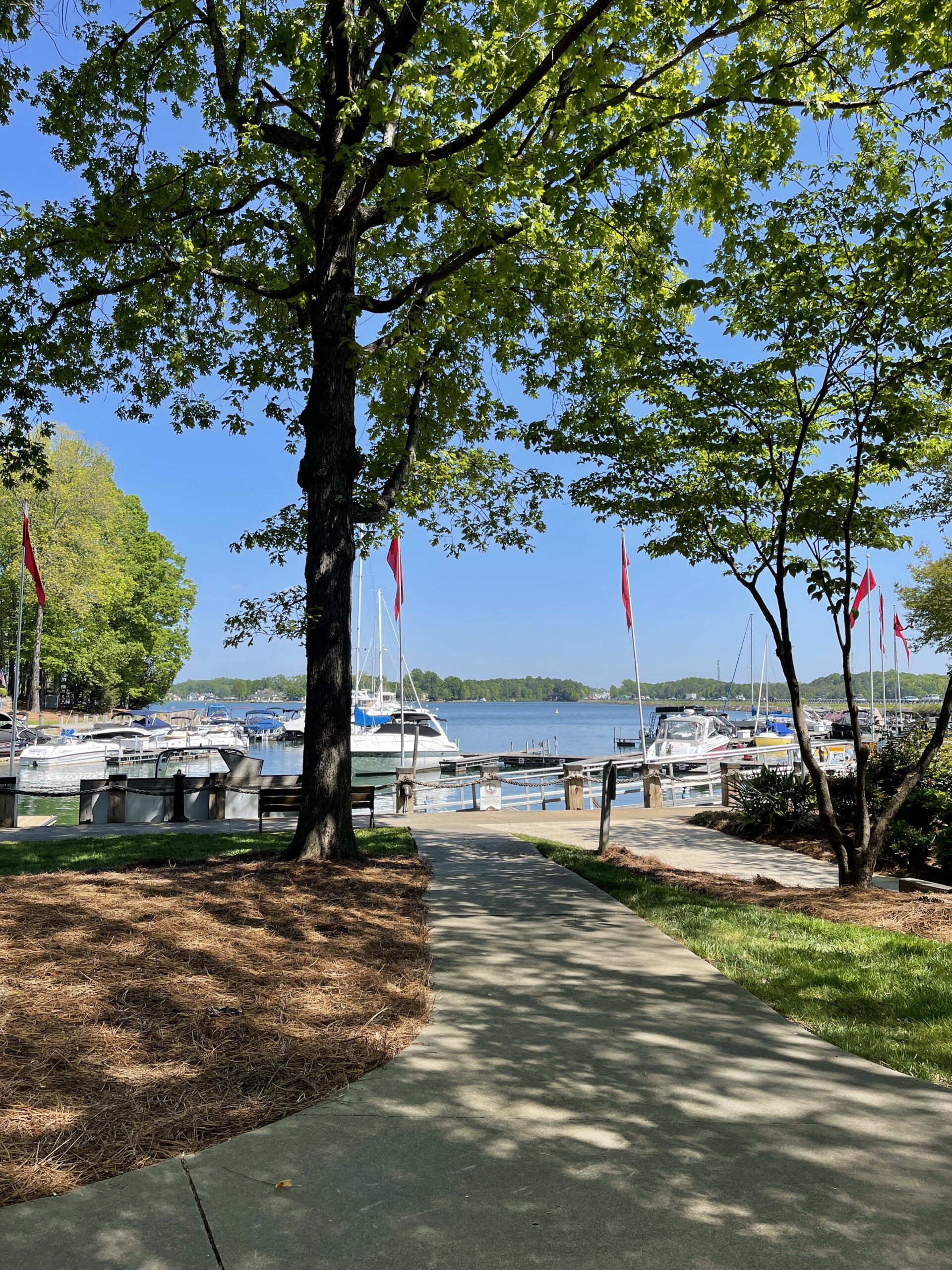 67259312719__21EE6B6D-31B9-4B0B-992B-264801B5DE50.fullsizerender